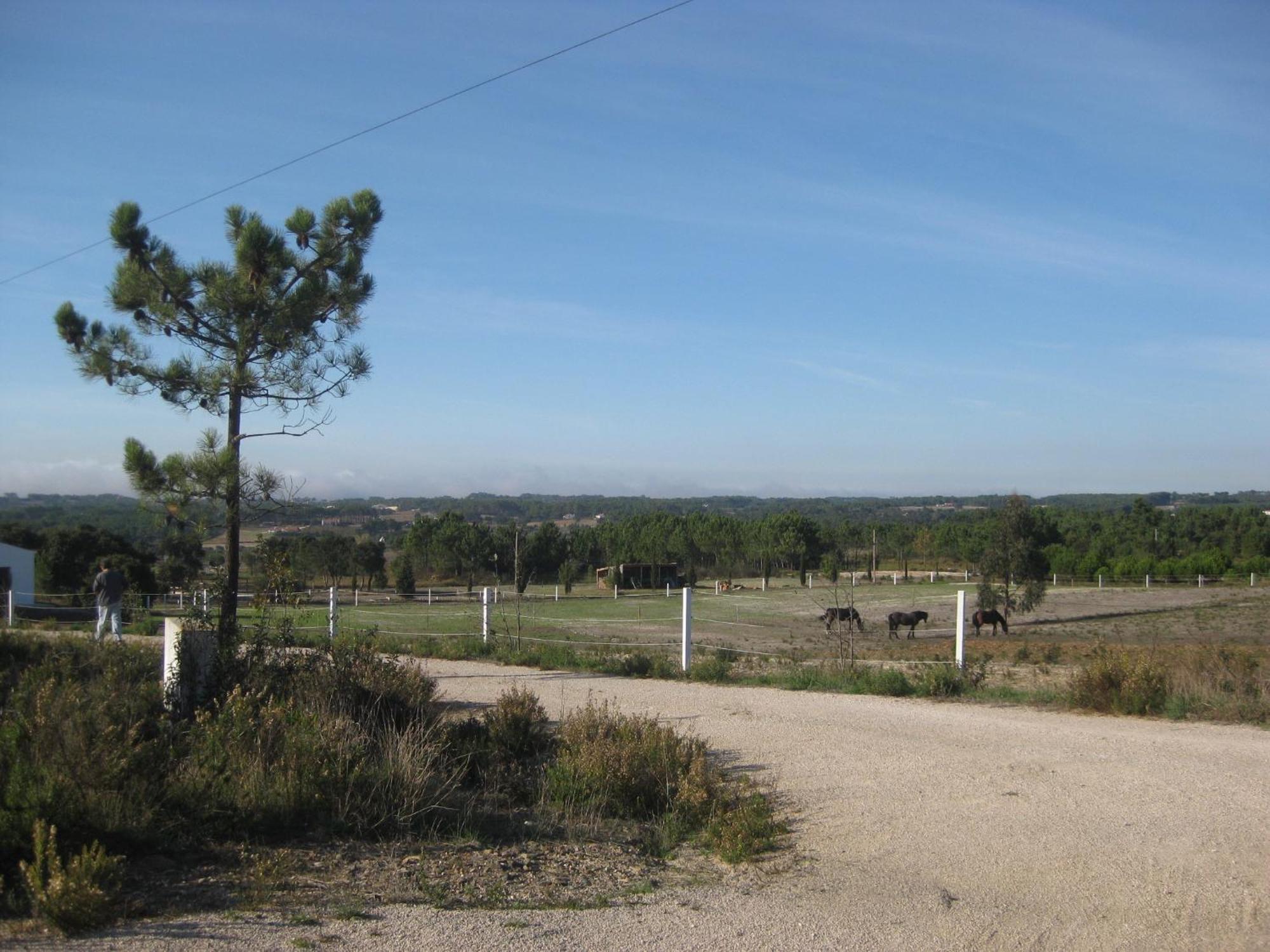 Monte Da Xara Vila Aljezur Exterior foto