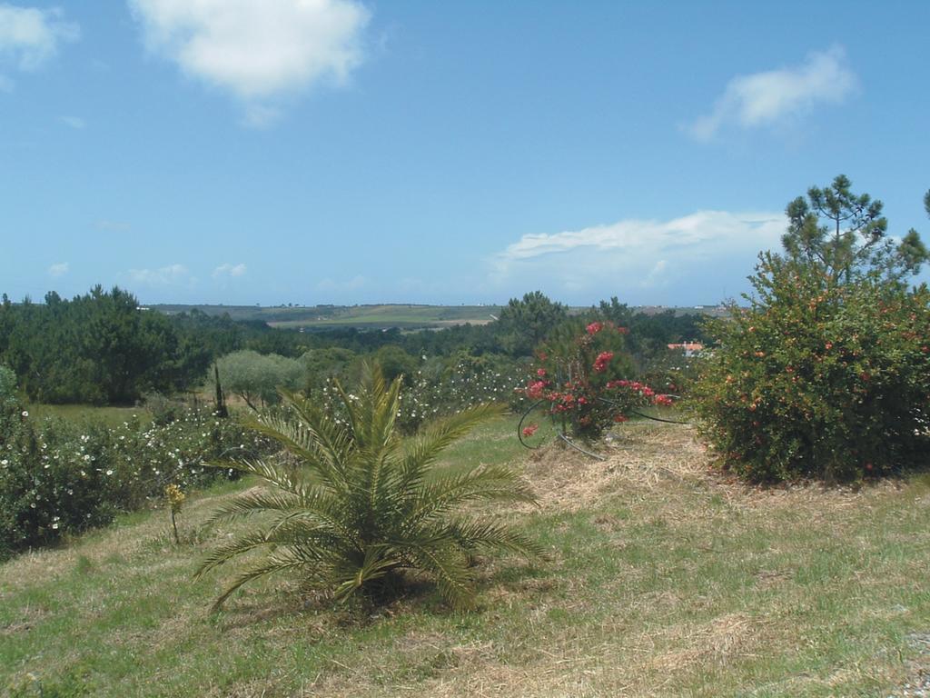 Monte Da Xara Vila Aljezur Exterior foto